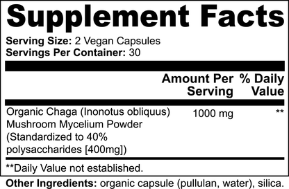 Chaga mushroom supplement rich in antioxidants to support gut health and cellular function.